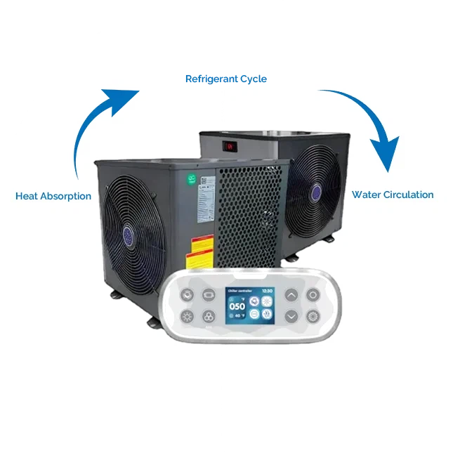 Advanced Working Processes of The Mini Inverter Chiller